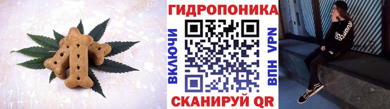 MEGA   Саранск  Cannafood конопля  купить наркоту 