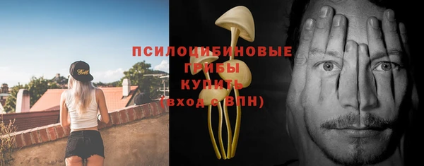 apvp Елизово
