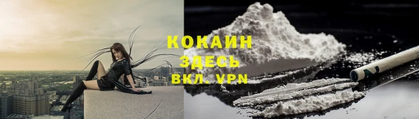 дмт Новодвинск