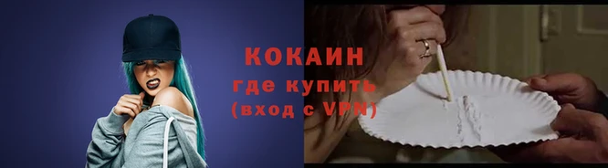 дмт Новодвинск