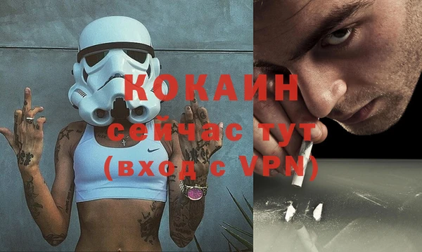 дмт Новодвинск