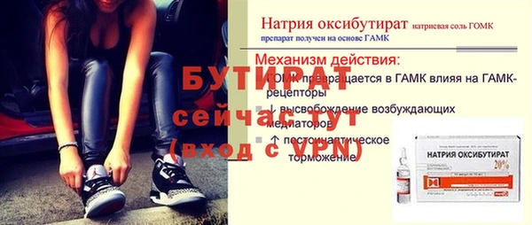 прущие грибы Елабуга