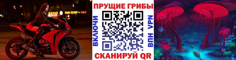 Псилоцибиновые грибы прущие грибы Саранск