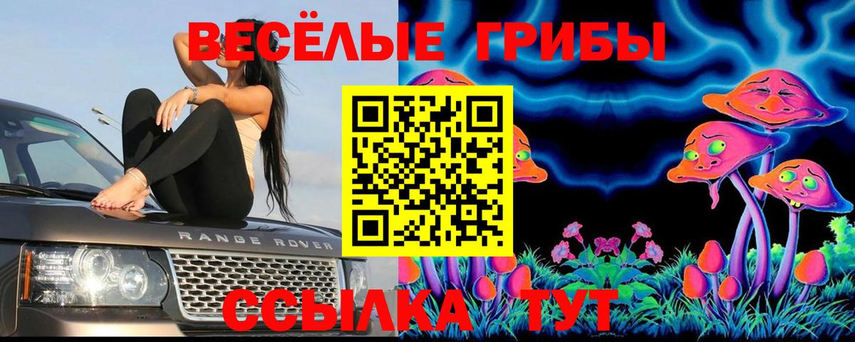 Галлюциногенные грибы ЛСД Саранск