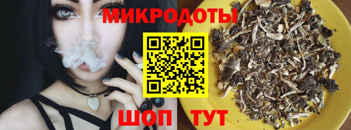 Псилоцибиновые грибы Psilocybine cubensis  Вход с VPN  где купить наркоту  Саранск 